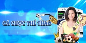 Giới Thiệu Sảnh DB - Nhà Phát Hành Game Thể Thao Nổi Tiếng